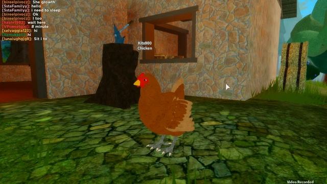 Обзор про игры птиц