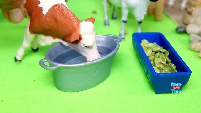 Farm Country Dioramas and Barnyard Animal Figurines смотреть онлайн