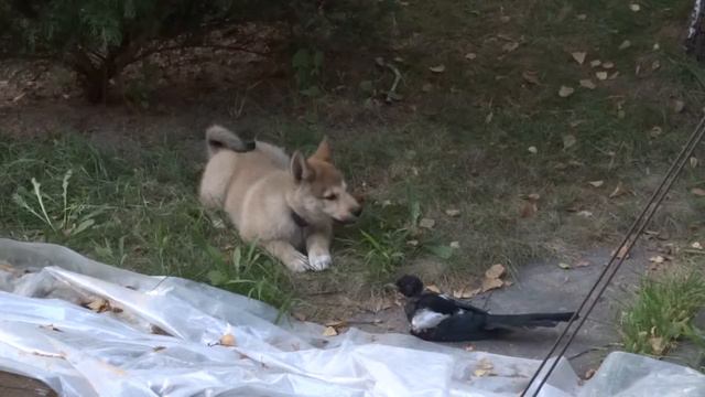 Who is it? смотреть онлайн