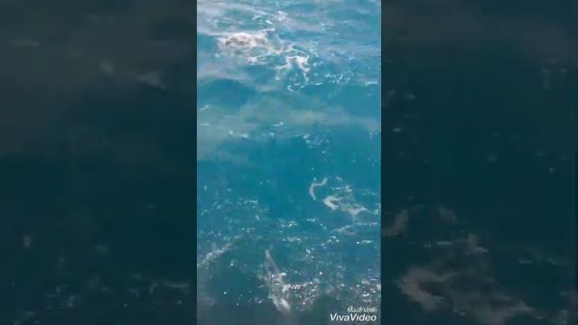 Ысык көл город Бозтери смотреть онлайн