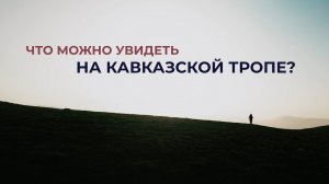 Что такое Кавказская тропа
