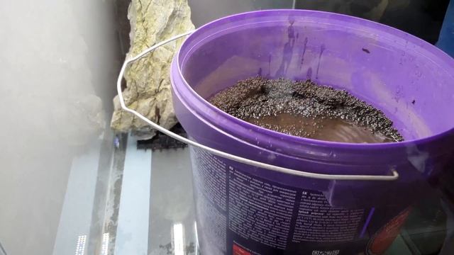 Przeprowadzka Akwarium 80x50x50 (200L) смотреть онлайн