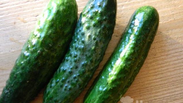 Рецепты от шеф-повара