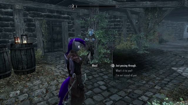 Lets play Skyrim: Ep 1 New Beginnings смотреть онлайн