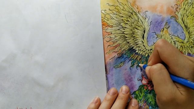 Быстрое раскрашивание - "Мифоморфозы" (феникс), часть 2 / speed coloring смотреть онлайн