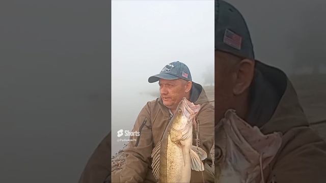 СУДАК С БЕРЕГА НА РЕЗИНКУ смотреть онлайн