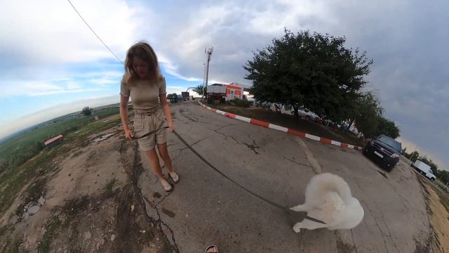 Из МОСКВЫ В КРЫМ за 20 ЧАСОВ с СОБАКОЙ. смотреть онлайн