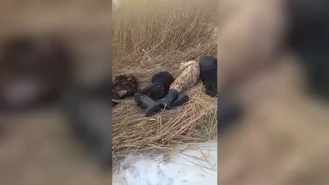 Старинный обряд на рыбалке! смотреть онлайн