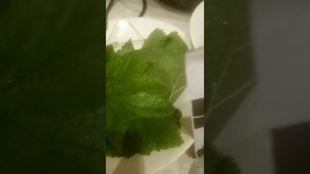 Рецепты для здоровой жизни 