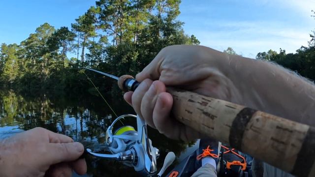 Huge August Bluegills on Ultralight Tackle смотреть онлайн