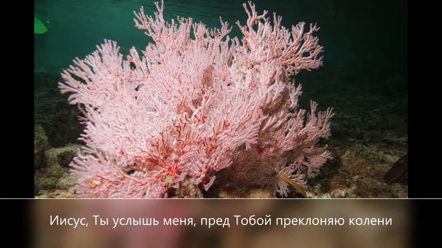 Иисус, Ты услышь меня смотреть онлайн