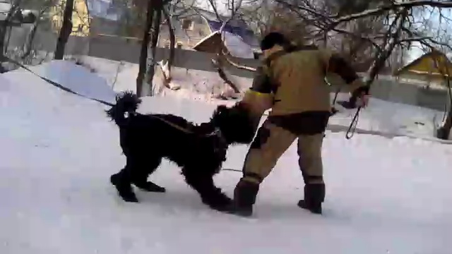VID_20170130_103800 смотреть онлайн