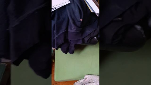 Тупо о том почему нельзя оставлять друзей дома, пока ты в отъезде смотреть онлайн