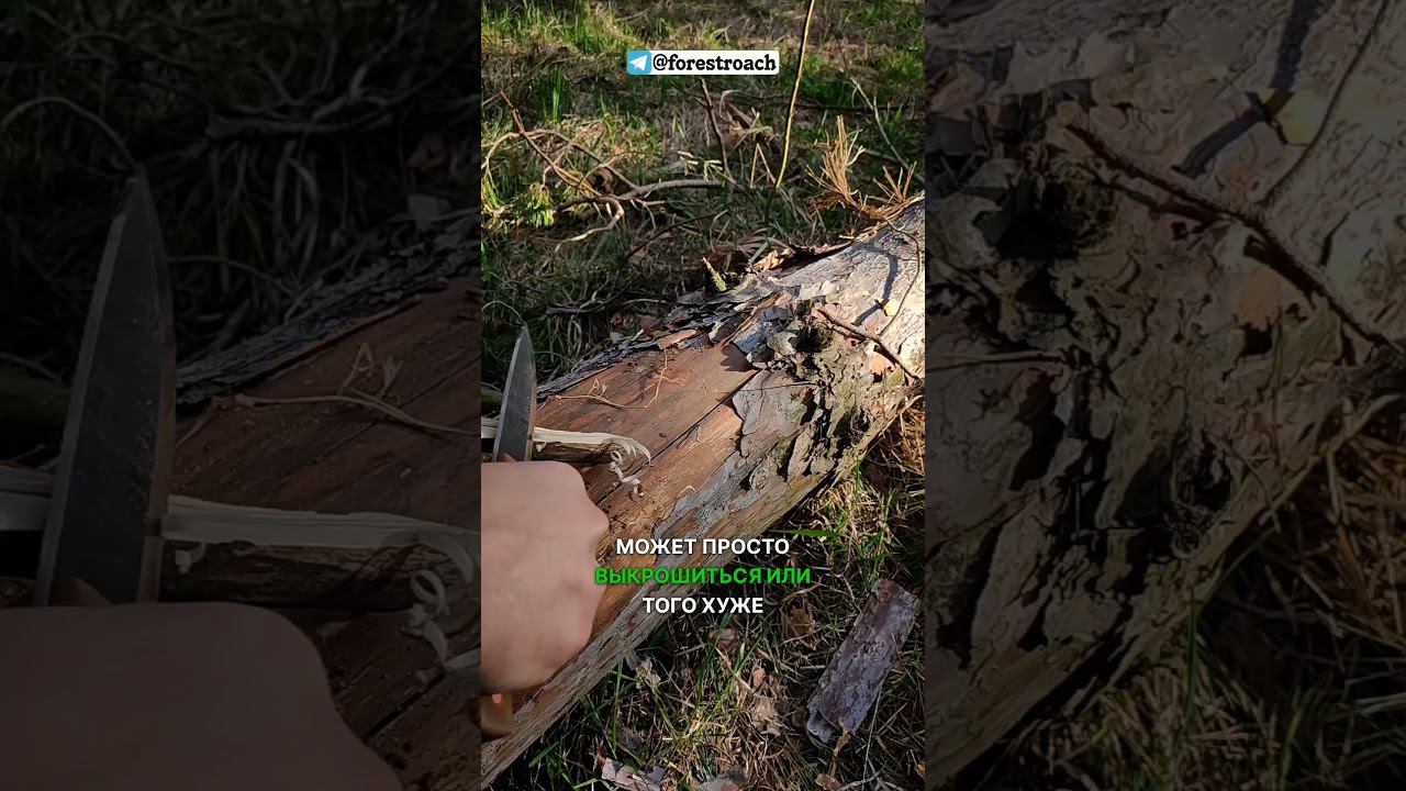 ВЫБОР ЛУЧШЕЙ СТАЛИ ДЛЯ НОЖА?! #бушкрафт #выживание #ножи #knife #bushcraft #forest #survival смотреть онлайн