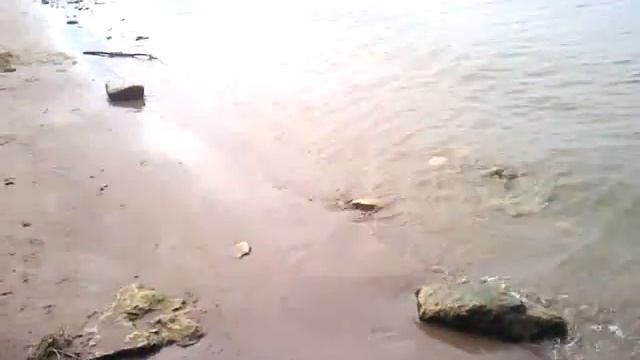 VID 20120826 133010 смотреть онлайн
