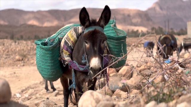 Atlas Mountain Race 2023 Teaser смотреть онлайн