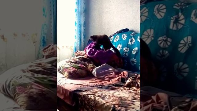 Халат не мягкий, вот смотри как надо смотреть онлайн