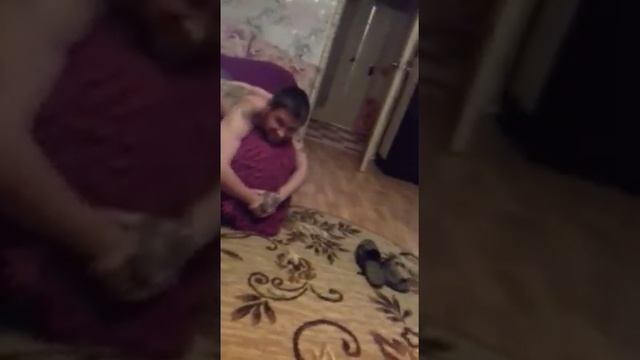 Лабрадор умняшка просит есть