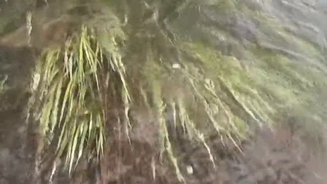 КАРАЧУНЫ.история.ЧАСТЬ-1. смотреть онлайн