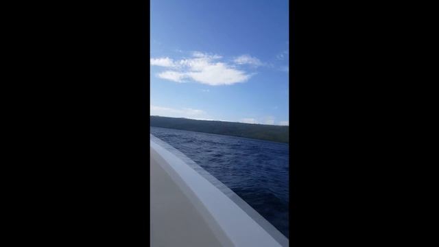 EXPERIENCIA CAYO LEVANTADO (SAMANÁ) 2017 смотреть онлайн