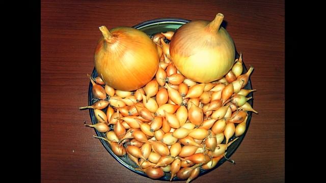 Лук Геркулес смотреть онлайн