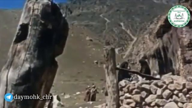 город Шали смотреть онлайн