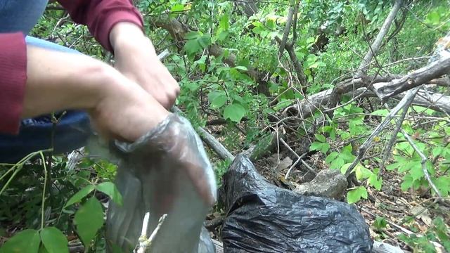 Инструкции по Творчеству