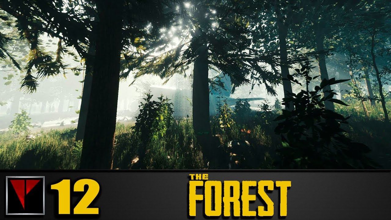 The Forest CO-OP #12 - Финал