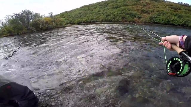 Bare Hand Fishing In Remote Glacier Rivers смотреть онлайн