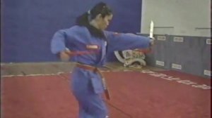 Вовинам Вьет во дао . Передача "Путь дракона" 2006 г.