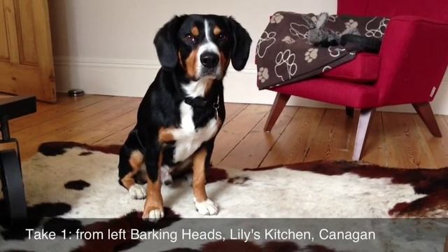 Review Grain Free Dog Kibble: Canagan Chicken Vs. Lily's Kitchen Vs. Barking Heads Dog Food смотреть онлайн