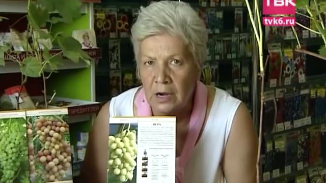 Советы тети Тани. Виноград смотреть онлайн