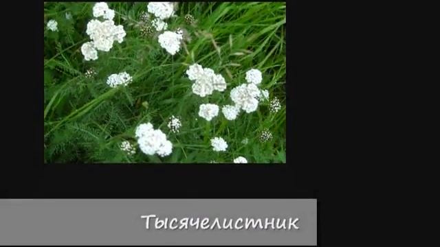 Мурманск Семёновское озеро смотреть онлайн