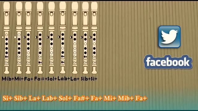 Undertale Megalovania para flauta dulce Con Notas -Flute recorder notes Cover- смотреть онлайн