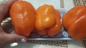 Обзор сортов перца ВИКТОРИЯ, БИГ МАМА и МУСТАНГ.