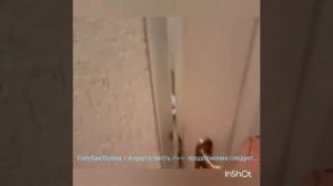 Пансионат Голубая Волна г  Алушта Номер Часть 1