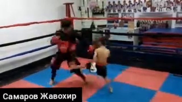Узбекистан рукопашный бой город зарафшан смотреть онлайн