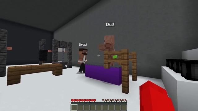 Playing Minecraft with my TWIN BROTHER! смотреть онлайн
