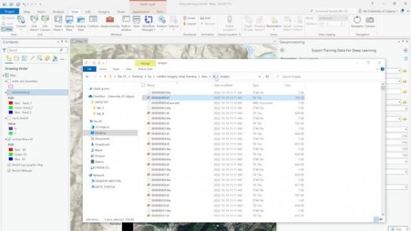 Export training dataset for deep learning neural network | ArcGIS Pro | GeoDev