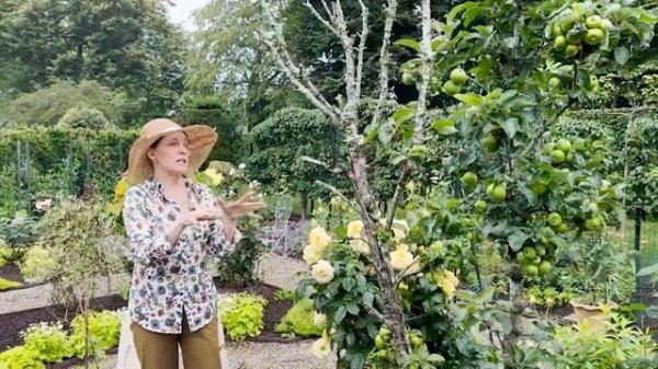 GARDEN GLAMOUR | Inside 7 Fabulous Outdoor Spaces