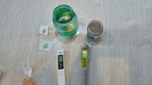 EC и pH воды для полива клубники.