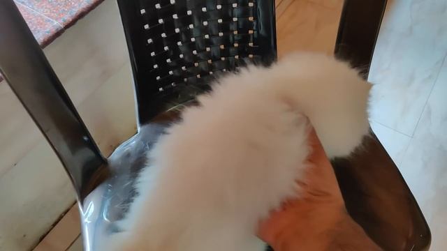 ഇനി സ്മാർട്ടായി വെള്ളം കുടിക്കാം| Mi Smart Water Purifier | Xiaomi смотреть онлайн