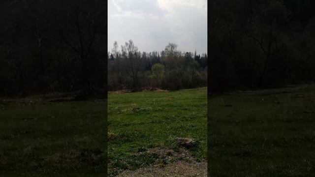 С. Каменка Дмитровский район