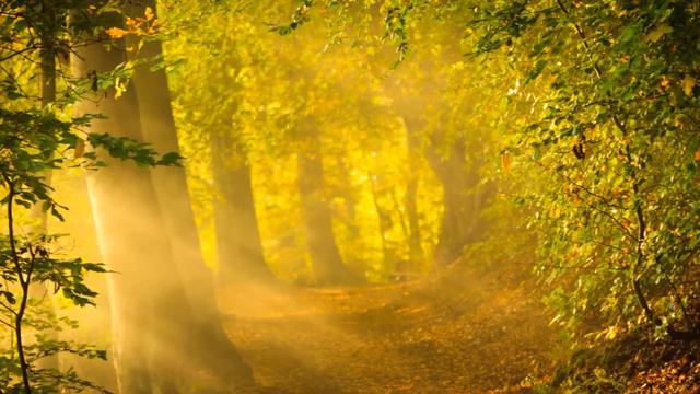 Eric Clapton ~ Old Love смотреть онлайн