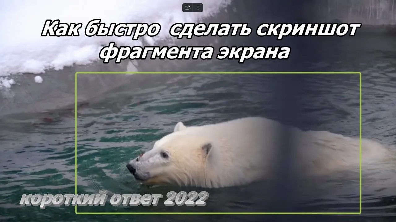 Как быстро сделать скриншот фрагмента экрана смотреть онлайн