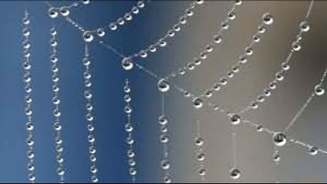 Как расслабить плечи. Урок для офиса смотреть онлайн