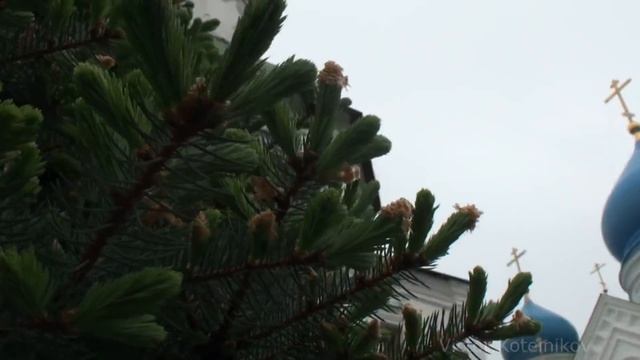 Колокольные звоны в Николо-Перервинском монастыре смотреть онлайн