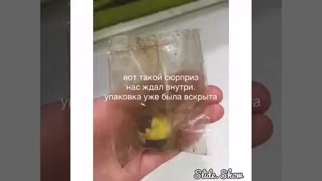 ШОК!!!Небольшой подарок от производителей !!! смотреть онлайн