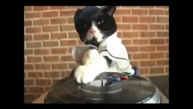 Кот DJ смотреть онлайн