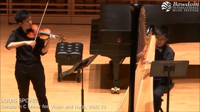 Louis Spohr's Violin and Harp Sonata in C Minor 1st Movement смотреть онлайн